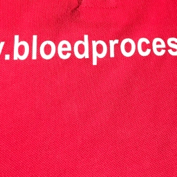 Jubilerende schrijndragers gaan voor ‘www.bloedprocessie.nl’